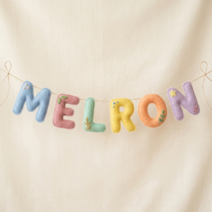 Custom Fabric & Felt Letter Banner